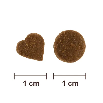 Deux croquettes, une en forme de cœur et une ronde, chacune mesurant environ 1 cm de large, avec règle graduée indiquant la taille sous chaque croquette.