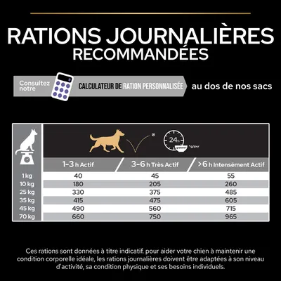 Tableau des rations journalières recommandées pour chiens selon poids (1 à 70 kg) et activité, de 40 g à 965 g par jour. Calculateur de ration personnalisée mentionné.