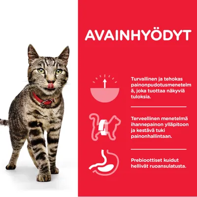 AVAINHYÖDYT: Turvallinen ja tehokas painonpudotusmenetelmä, terveellinen menetelmä ihannepainon ylläpitoon, prebioottiset kuidut hellivät ruoansulatusta. Kuvassa kissa.