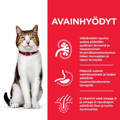 AVAINHYÖDYT: Välttämätön tauriini auttaa pitämään sydämen terveenä ja tasapainoinen kivennäisainekoostumus tukee munuaisten ja rakon terveyttä. Helposti sulavat valmistusaineet ja kuidut edistävät ruuansulatuskanavan terveyttä. E-vitamiini sekä omega 3- ja omega-6-rasvahapot edistävät ihon ja turkin hyvinvointia.