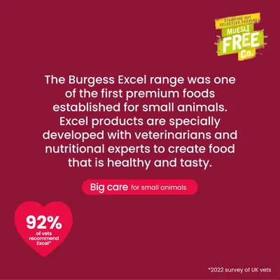 Burgess Excel Rat Nuggets - 1.5kg