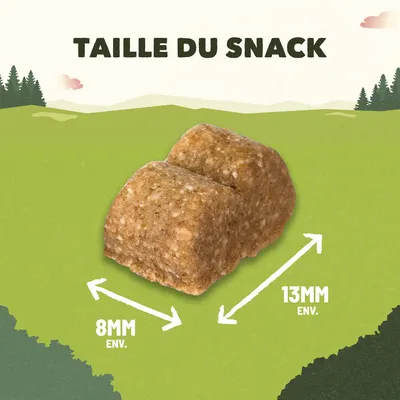 Taille du snack : cube brun d’environ 8 mm sur 13 mm, texte visible « TAILLE DU SNACK », flèches indiquant les dimensions sur l’image.