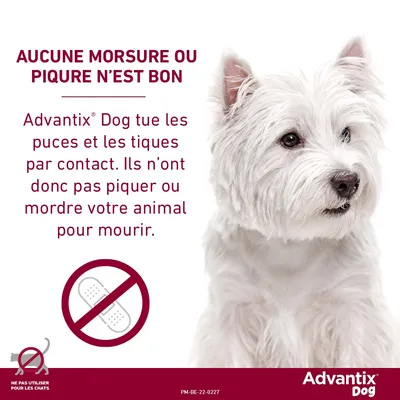 Advantix® petit chien, de 4 kg à 10 kg
