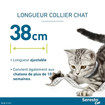 Seresto® Collier chat