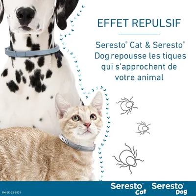 Collier antiparasitaire Seresto® pour petit chien (≤ 8 kg)