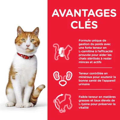 AVANTAGES CLÉS : gestion du poids avec L-carnitine, soutien de la santé urinaire par minéraux contrôlés, faible matières grasses et L-lysine pour vitalité. Texte en fr_BE.