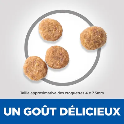 Taille approximative des croquettes 4 x 7,5 mm. Texte visible : UN GOÛT DÉLICIEUX.