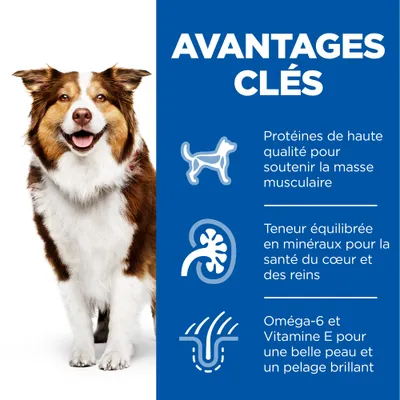AVANTAGES CLÉS : Protéines de haute qualité pour la masse musculaire, minéraux équilibrés pour le cœur et les reins, oméga-6 et vitamine E pour la peau et le pelage brillant.
