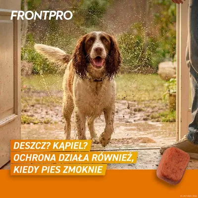 FRONTPRO® tabletki na pchły i kleszcze, dla psów od 10 do 25 kg FRONTPRO® tabletki na pchły i kleszcze, dla psów od 10 do 25 kg