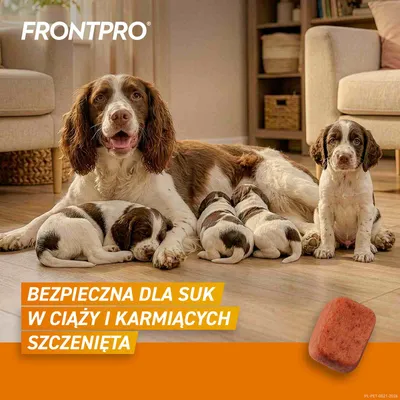 FRONTPRO® tabletki na pchły i kleszcze, dla psów od 10 do 25 kg FRONTPRO® tabletki na pchły i kleszcze, dla psów od 10 do 25 kg