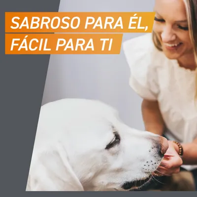 SABROSO PARA ÉL, FÁCIL PARA TI
