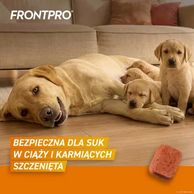 FRONTPRO® tabletki na pchły i kleszcze dla psów