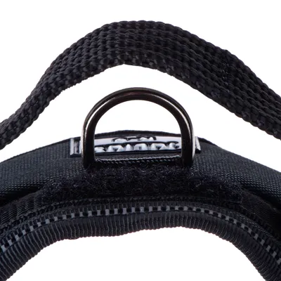 Close-up of a black dog harness with sturdy metal ring and durable nylon material.