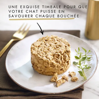 Texte visible : « Une exquise timbale pour que votre chat puisse en savourer chaque bouchée » au-dessus d’une portion de pâtée pour chat servie sur une assiette blanche.