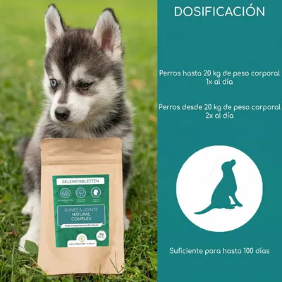 Wolfsbacher Nature comprimidos para las articulaciones