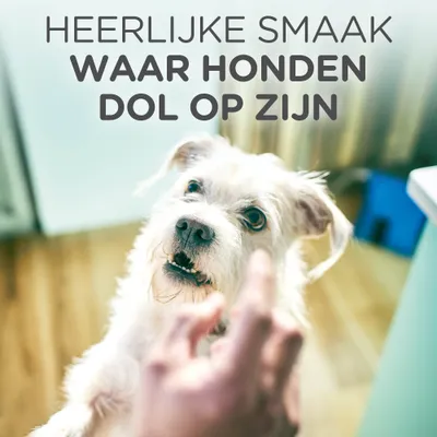 Heerlijke smaak waar honden dol op zijn