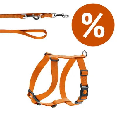 Set pettorina e guinzaglio - Hunter London arancione