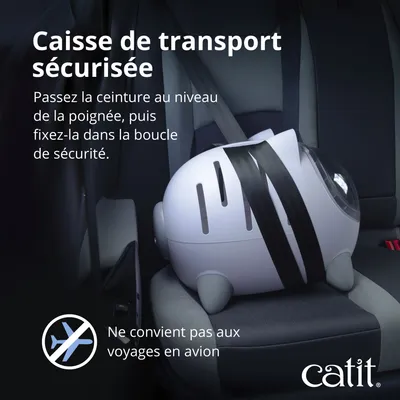 Caisse de transport fixée avec la ceinture de sécurité dans la voiture. Remarque : non adaptée aux voyages en avion. Marque : catit.
