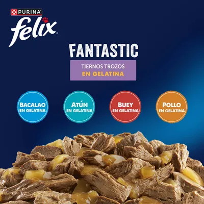 Jumbopack Felix Fantastic 80 x 85 g - Mix de carne y pescado en gelatina (vacuno, pollo, atún, bacalao) Jumbopack Felix Fantastic 80 x 85 g - Mix de carne y pescado en gelatina (vacuno, pollo, atún, bacalao)