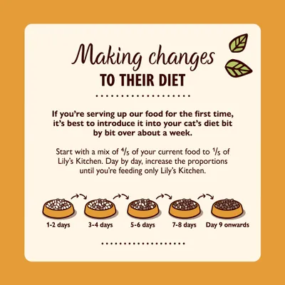 Voedingsadvies voor katten: meng 4/5 huidig voer met 1/5 Lily’s Kitchen, verhoog dagelijks het aandeel Lily’s Kitchen tot volledig overstappen na dag 9. Tekst in het Engels.