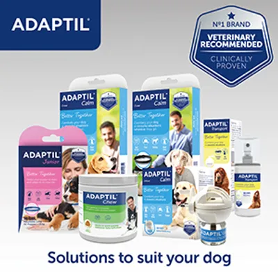Range of ADAPTIL calming products with packaging, including chews, sprays and diffusers. Badge states: No.1 brand, veterinary recommended, clinically proven. Text: Solutions to suit your dog.