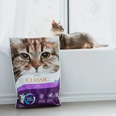 Litière pour chat Classic Lavender avec Triple Action, contrôle des odeurs, peu de poussière et agglomérante. Emballage avec motif de chat.