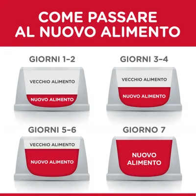 Schema di transizione alimentare: giorni 1-2 e 3-4 ciotole con 'vecchio alimento' e 'nuovo alimento', giorni 5-6 più nuovo, giorno 7 solo 'nuovo alimento'. Testo: Come passare al nuovo alimento.