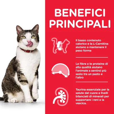 BENEFICI PRINCIPALI: basso contenuto calorico e L-Carnitina aiutano a mantenere il peso forma; fibre e proteine di alta qualità aumentano la sazietà; taurina e minerali per cuore e reni.