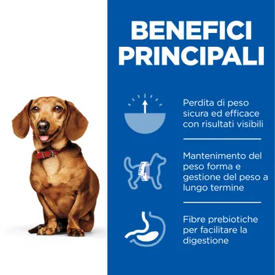Benefici principali: perdita di peso sicura ed efficace, mantenimento del peso forma e gestione a lungo termine, fibre prebiotiche per facilitare la digestione.
