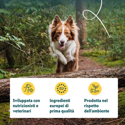 Sviluppato con nutrizionisti e veterinari, componenti europei di qualità premium, prodotto in modo ecologico. Sviluppato con nutrizionisti e veterinari, componenti europei di qualità premium, prodotto in modo ecologico.