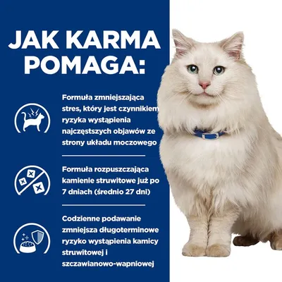 Jak karma pomaga: formuła zmniejsza stres, rozpuszcza kamienie struwitowe po 7 dniach, codzienne podawanie zmniejsza ryzyko kamicy struwitowej i szczawianowo-wapniowej.