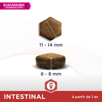 Croquettes Eukanuba Veterinary Diets Intestinal, dimensions visibles : diamètre 11–14 mm, épaisseur 6–8 mm, à partir de 1 an. Marque et texte affichés sur l’image.