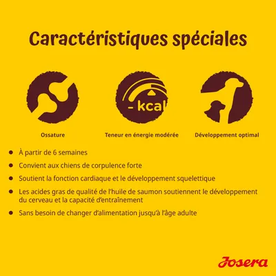 Caractéristiques spéciales : ossature, teneur en énergie modérée, développement optimal. À partir de 6 semaines, convient aux chiens corpulents, soutient cœur et squelette, marque Josera.