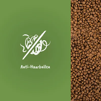 Texte en allemand : Anti-Haarballen, avec illustration stylisée d’une boule de poils barrée à gauche et croquettes marron à droite.