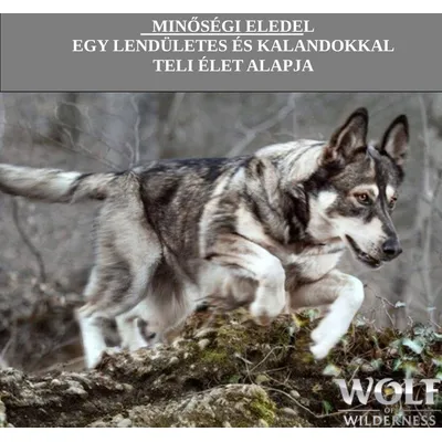 MINŐSÉGI ELEDEL EGY LENDÜLETES ÉS KALANDOKKAL TELI ÉLET ALAPJA. Wolf of Wilderness márkanév látható, ugró farkasszerű kutya képe.