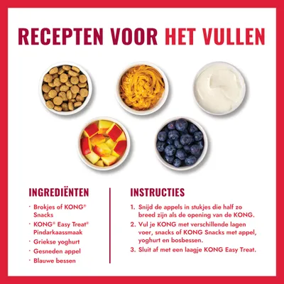 KONG Classic Rood