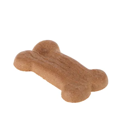 Biscuit in bone shape, brown, without visible packaging or text.