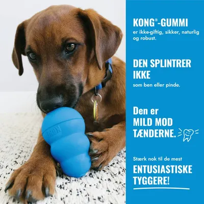 Hund med blåt KONG-legetøj. Tekst: KONG-gummi er ugiftigt, sikkert, naturligt og robust, splintrer ikke, skånsomt mod tænderne, stærkt til ivrige tyggere. Hund med blåt KONG-legetøj. Tekst: KONG-gummi er ugiftigt, sikkert, naturligt og robust, splintrer ikke, skånsomt mod tænderne, stærkt til ivrige tyggere.
