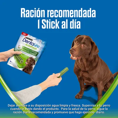 Purina Dentalife ActivFresh para perros. Ración recomendada: 1 stick al día. Imagen de un perro marrón recibiendo un stick y paquete visible con texto explicativo sobre uso y supervisión.