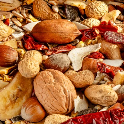 Versele-Laga Prestige Esotici