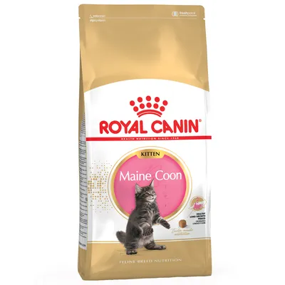 Royal Canin Maine Coon Kitten dry food, specially for Maine Coon kittens. Packaging shows a cat and highlights tailored nutrition.