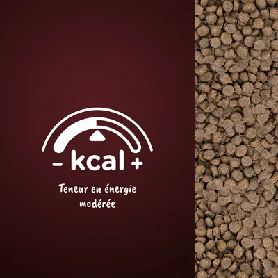 Texte visible : « - kcal + Teneur en énergie modérée » sur fond bordeaux, à côté de croquettes pour animaux.