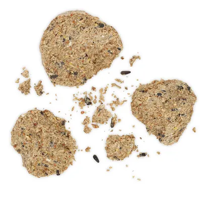 Meerdere brokken gemengd vogelvoer met zichtbare zaden en granen, getoond in verschillende groottes en stukjes op een witte achtergrond.