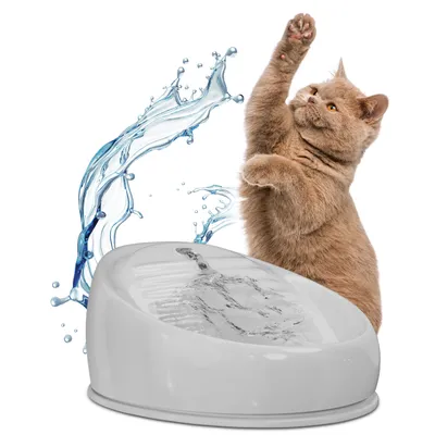 Fuente de agua blanca para gatos con chorro visible, junto a un gato de pelo corto color beige levantando una pata. Fondo blanco con salpicadura de agua decorativa.