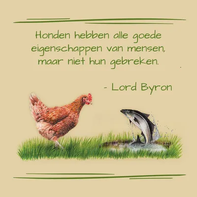 Honden hebben alle goede eigenschappen van mensen, maar niet hun gebreken. - Lord Byron