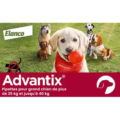 Advantix® grand chien, de 25 kg à 40 kg