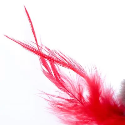 Nahaufnahme von roten Federn, die zu einem Spielzeug oder Accessoire gehören könnten.