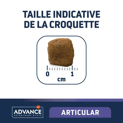 Taille indicative de la croquette Advance Veterinary Diets Articular, environ 1 cm, avec règle graduée en centimètres sous la croquette.