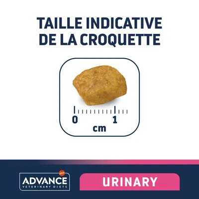 Taille indicative de la croquette Advance Veterinary Diets Urinary, environ 1 cm, avec visuel d’une croquette et règle graduée en centimètres.