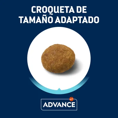 Croqueta de tamaño adaptado Advance. Imagen de una croqueta redonda sobre fondo blanco con el texto 'CROQUETA DE TAMAÑO ADAPTADO' y la marca Advance visible.